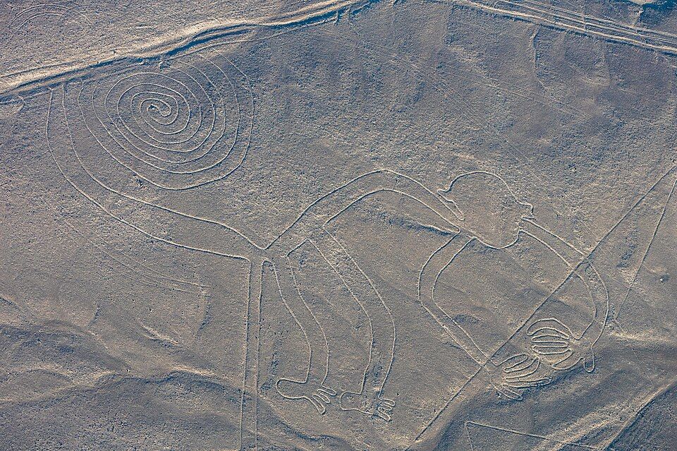Aerial photo of the Nazca monkey geoglyph with its spiral tail.