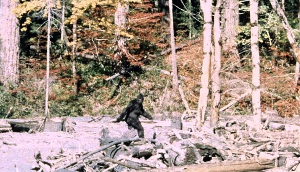 A grainy film frame of a tall, dark, hairy figure walking across a sandbar by a creek, its head turned toward the camera.
